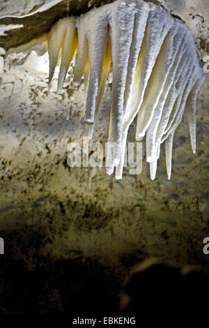 Stalactites dans une grotte calcaire, l'Allemagne, en Rhénanie du Nord-Westphalie, Rhénanie-Palatinat Banque D'Images