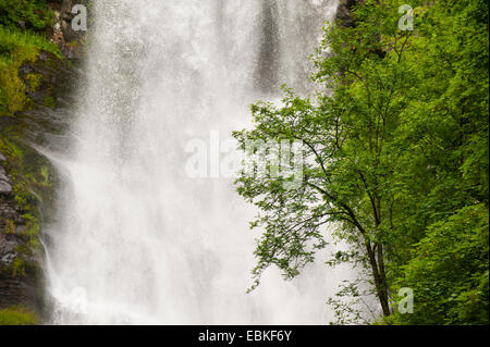 Pistyll Rhaeadr cascade, Powys, Pays de Galles. Banque D'Images