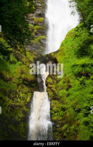 Pistyll Rhaeadr cascade, Powys, Pays de Galles. Banque D'Images