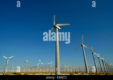 Ferme éolienne de San Gorgonio Pass, États-Unis, Californie, San Bernadino Mountains, Palm Springs Banque D'Images