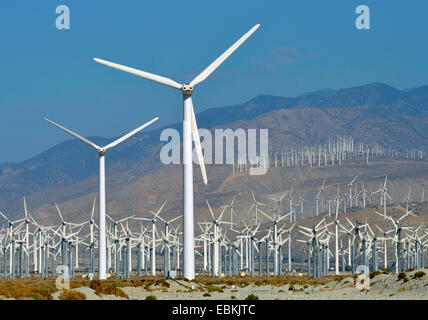 Ferme éolienne de San Gorgonio Pass, États-Unis, Californie, San Bernadino Mountains, Palm Springs Banque D'Images