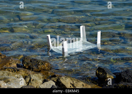 La tête flottante de table dans l'eau de la côte du golfe Persique, le Qatar, Doha Banque D'Images