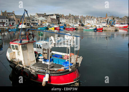 Les chalutiers de pêche dans le port, Royaume-Uni, Ecosse, Aberdeenshire, Fraserburgh Banque D'Images