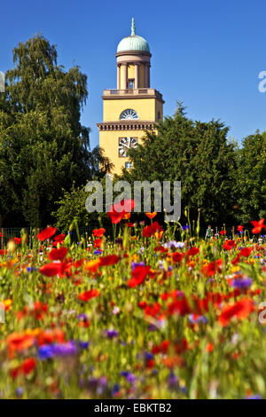 Pré de fleurs sauvages en fleurs et tour de ville, de l'Allemagne, en Rhénanie du Nord-Westphalie, Ruhr, Witten Banque D'Images