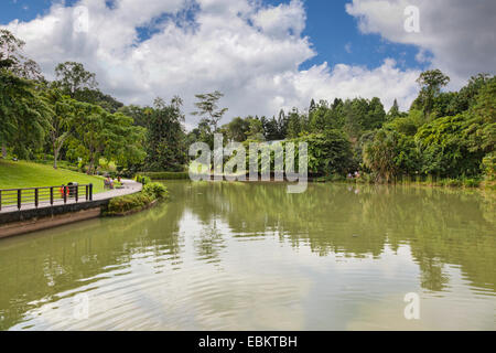 Les Jardins botaniques de Singapour, Symphonie Lake Banque D'Images