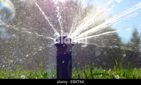 De l'irrigation sur une pelouse, Allemagne Banque D'Images