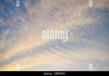 Cirrocumulus nuages dans la lumière jaune du soleil couchant Banque D'Images