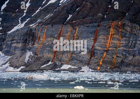 La glace la côte rocheuse, la Norvège, Svalbard, Spitzberg, Burgerbukta Inseln Banque D'Images