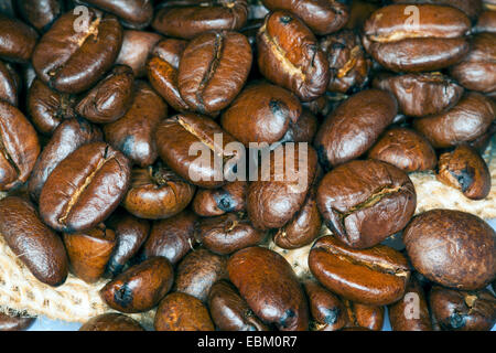 Les grains de café torréfié Banque D'Images