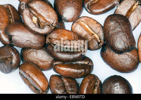 Les grains de café torréfié Banque D'Images