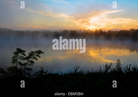 Étang avec mist rising au lever du soleil près de Patoka River National Wildlife Refuge, près de Winslow, Indiana. Banque D'Images