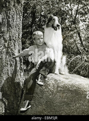 Nous LASSIE CBS TV série avec Jon Provost que Timmy en 1957 Banque D'Images