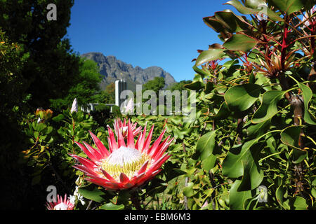 Hugenot Monument, Franschhoek, Afrique du Sud. Banque D'Images