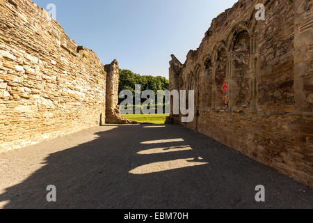 Ruines du 12e siècle, l'abbaye Basingwerk, St Asaph, Flintshire, au nord du Pays de Galles, Royaume-Uni Banque D'Images