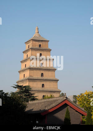 La Grande Pagode de l'Oie Sauvage et Da Ci'en temple bouddhiste à Xian, Chine Banque D'Images