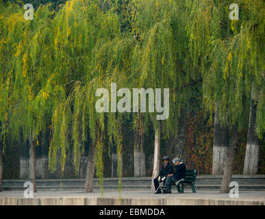 Deux vieilles dames assises sur un banc sous un grand saule pleureur Banque D'Images