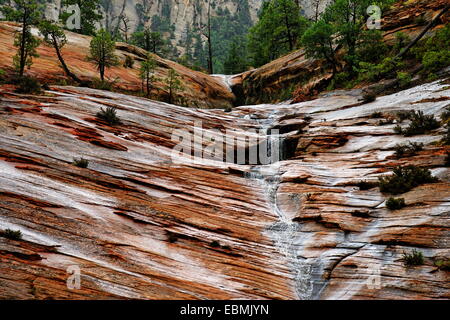 Évacuation de l'eau sur des rochers de grès Navajo rouge après un orage près de Canyon Overlook, Zion National Park, Utah Banque D'Images