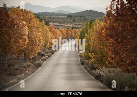 Espagne route de campagne au cours de l'automne Banque D'Images