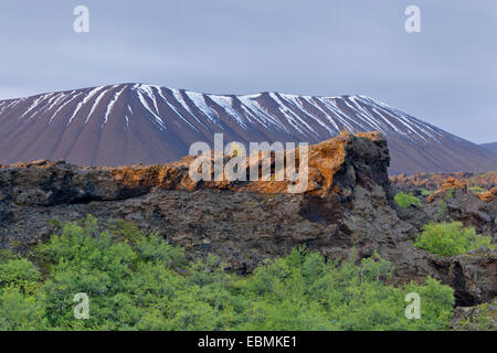 Formations de lave Dimmuborgir, frêne, cratère Hverfjall Skútustaðir, Région du Nord-Est, de l'Islande Banque D'Images