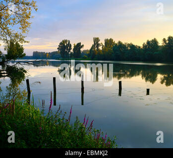 Alter Rhein, Xanten, Rhénanie du Nord-Westphalie, Allemagne Banque D'Images