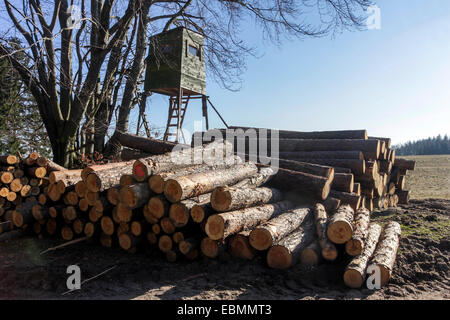 En bois vert forêt dans edge, République Tchèque Banque D'Images