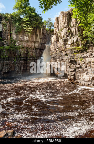 Force élevée, l'un des célèbre cascade Englands en Forêt-in-Teesdale, Nord de l'Angleterre Banque D'Images