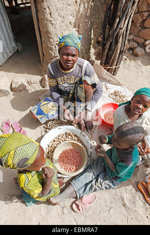 Les enfants l'épluchage d'arachides, de Rhumsiki, loin au nord, le Cameroun Banque D'Images