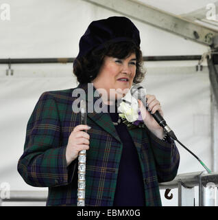 Susan Boyle est Chieftain de West Lothian Highland Games 2014. Elle a dirigé la marche à travers la ville pour ouvrir l'événement portant le tartan de Boyle. Avec : Susan Boyle Où : Bathgate, Royaume-Uni Quand : 31 mai 2014 Banque D'Images