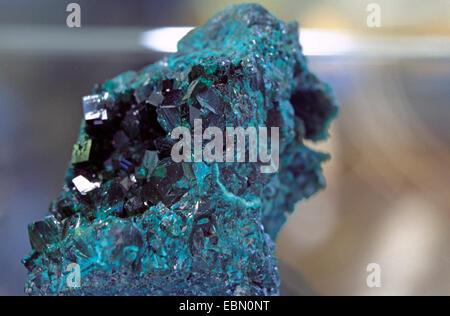 Dioptase, République du Congo Banque D'Images