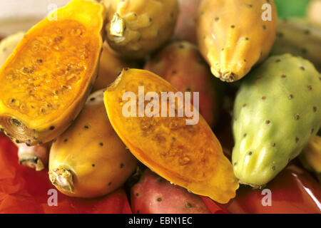 Fig indien, figuier de Barbarie (Opuntia ficus-indica, Opuntia ficus-barbarica), les fruits sur un marché, Italie Banque D'Images