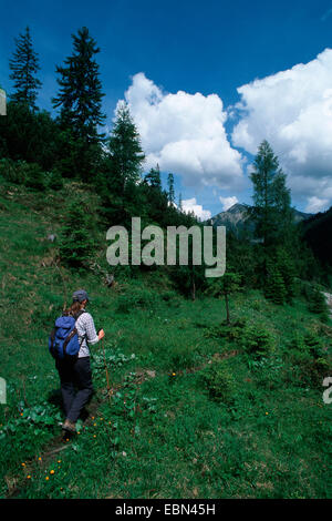 Randonneur dans les Alpes Lech, Allemagne, Bavière, Namlos-Tal Banque D'Images