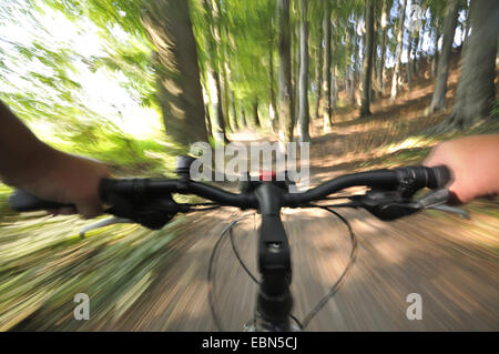 Rouler à vélo dans une forêt, en Allemagne, en Rhénanie du Nord-Westphalie, région de la Ruhr Banque D'Images