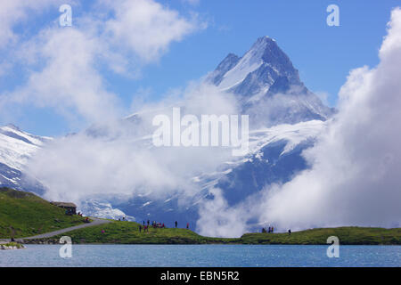 Schreckhorn vu du lac Bach près de Grindelwald, Suisse Banque D'Images