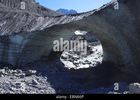 Museau en dessous du Gspaltenhorn glacier hut, Suisse Banque D'Images