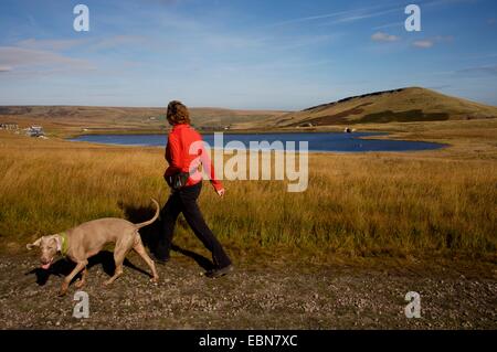 Walker et de chien près de Redbrook réservoir, Marsden Moor, West Yorkshire, Angleterre Banque D'Images