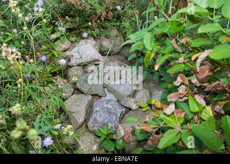 Pierres naturelles sur un tas de pierres, comme le logement, l'habitat pour les animaux dans le jardin, Allemagne Banque D'Images