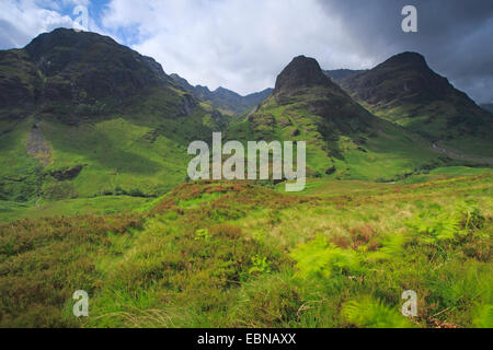 Trois Sœurs dans le nord de Scottland, Royaume-Uni, Ecosse, Glencoe Banque D'Images