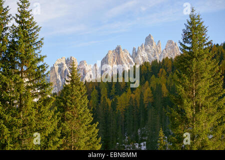 La dolomite sommet du groupe Croda da Lago, Italie, Tyrol du Sud, Dolomiten Banque D'Images