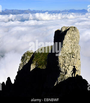 Le randonneur debout devant la montagne au-dessus des nuages, la France, le Parc National du Vercors Banque D'Images