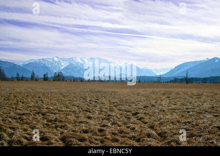 Murnauer Moos de tourbières bombées en hiver, les sommets du wetterstein en arrière-plan, l'Allemagne, Bavière, Oberbayern, Haute-Bavière Banque D'Images