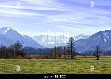 Murnauer Moos de tourbières bombées en hiver, Allemagne, Bavière, Oberbayern, Haute-Bavière Banque D'Images