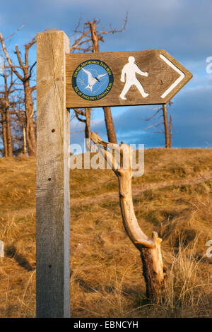 Isle of Anglesey Coastal Path signe avec l'homme et marche en forêt, le logo Newborough Anglesey, au nord du Pays de Galles, Royaume-Uni, en Grande-Bretagne, en Europe. Banque D'Images