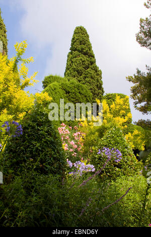 Jardin de la Villa Ephrussi de Rothschild, France, Villefranche-sur-Mer Banque D'Images