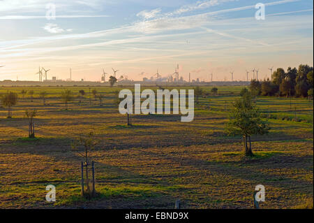 Paysage de champs et prés d'arbres fruitiers dans la lumière du matin, l'industrie de l'acier en arrière-plan, l'Allemagne, Bremen Banque D'Images