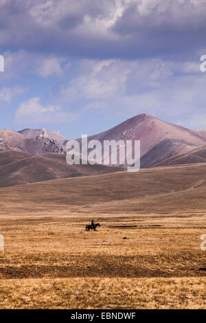 Cavalier dans la steppe sur plateau en face de paysages de montagne, le Kirghizistan, le lac Song Kul , Naryn Banque D'Images