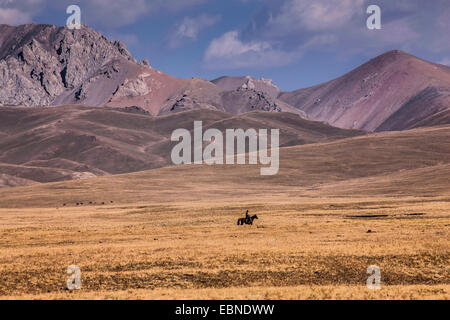 Cavalier dans la steppe sur plateau en face de paysages de montagne, le Kirghizistan, le lac Song Kul , Naryn Banque D'Images