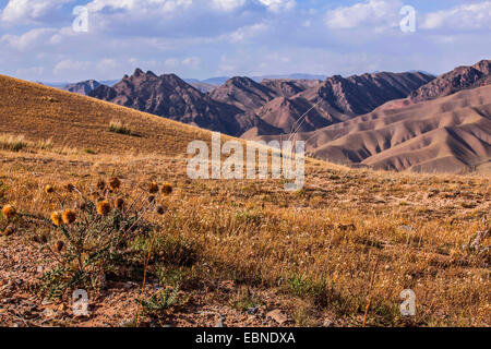 En face de la steppe de paysages de montagne, le Kirghizistan, le lac Song Kol, Naryn Banque D'Images