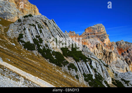 Dans les couches de roche Dolomite Alpes, Italie, Tyrol du Sud, Dolomiten Banque D'Images