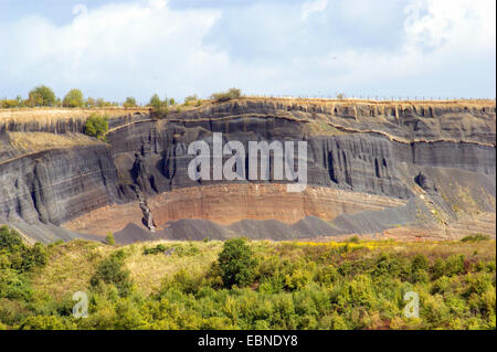 Les affleurements géologiques, une carrière au sein des dépôts de lave, l'Allemagne, Rhénanie-Palatinat, Hocheifel Laacher, voir Banque D'Images