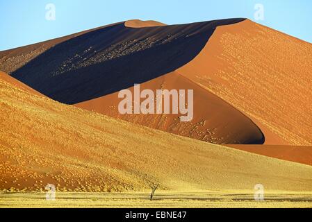 D'immenses dunes de sable dans la lumière du soir, la Namibie, le Parc National Namib Naukluft Sossusvlei, Banque D'Images